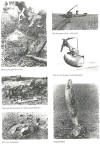 Click here to enlarge, click previous page to return